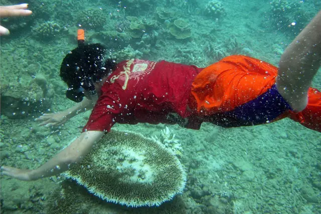 gempa, terumbu karang