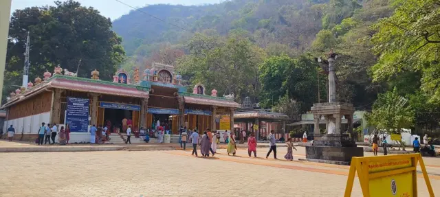 கோவை: வெள்ளியங்கிரி மலை ஏறுவது எவ்வளவு கடினம்? உயிரிழப்புகள் அதிகரிப்பது ஏன்? பிபிசி கள ஆய்வு