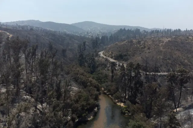 Vista aérea del parque calcinado. 