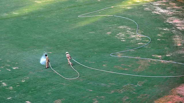 डॉ. बाबासाहेब आंबेडकर, बाळू पालवणकर, क्रिकेट, समाजशास्त्र