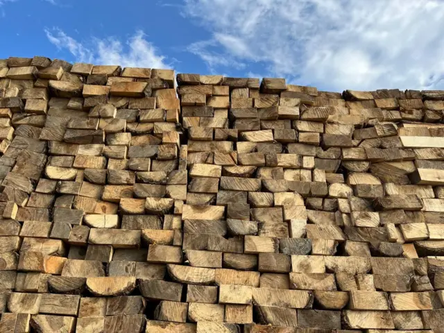 पेंसिल विलेज