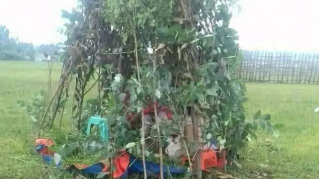 Godoo Ukeef qophaa'e