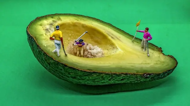 Avokado