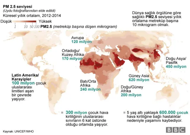 Hava kirliliğinden en fazla etkilenen bölge Güney Asya.