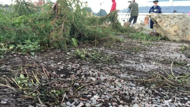 Северные ландшафты