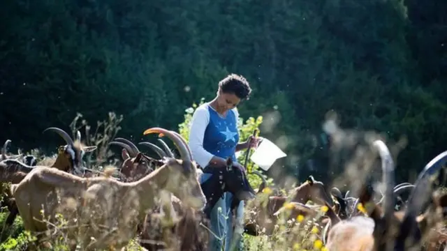 مزرعة "الماعز السعيدة"