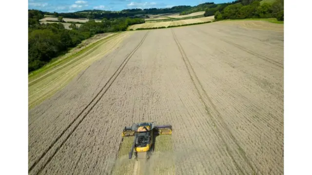 L'érosion des sols est l'une des conséquences d'une agriculture non réglementée.