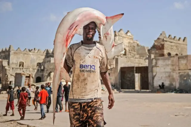 A Somali fisherman whose T-shirt aptly reads "Extra Large" carries a shark on his shoulder to the Hamarweyne fish market near the port in Mogadishu.
