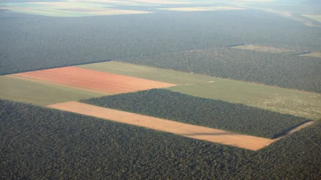 Tierra desforestada en Brasil