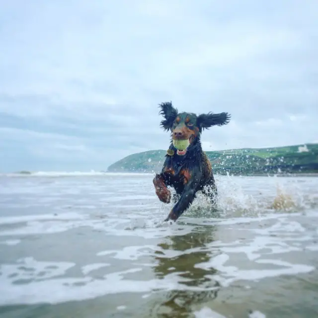 नॉर्थ डेवन के समुद्र किनारे की यह तस्वीर ली हैं सुज़ी हिल-हेम्स ने.