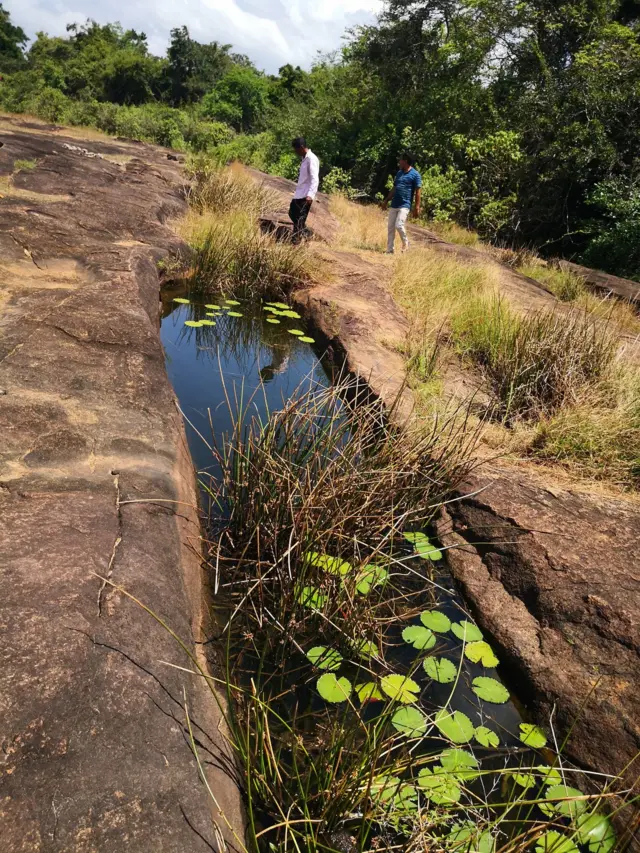 තෝනිගල සෙල්ලිපිය
