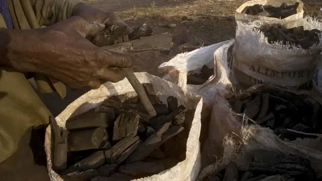 Bolsa de carbón de marabú