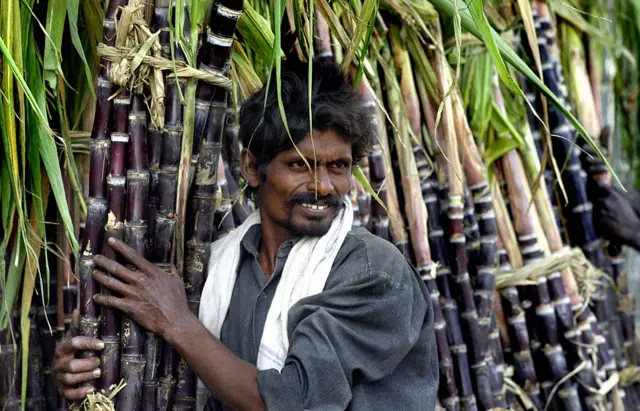 கரும்பு விவசாயிகள்