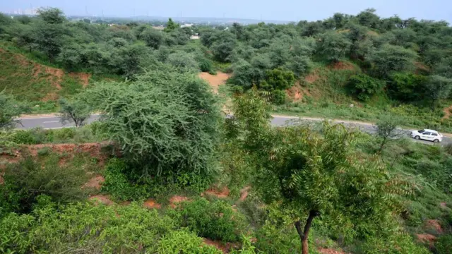 गुड़गांव का अरावली सफ़ारी पार्क (फ़ाइल फ़ोटो)