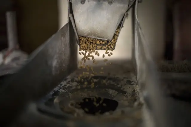 ( प्रतिकात्मक छायाचित्र)