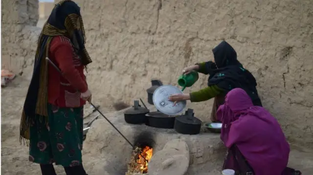 د خوړو نړيوال پروګرام