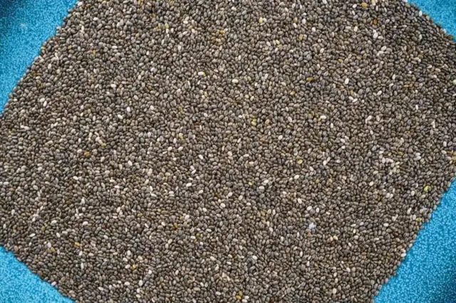 மெக்னீசியம்