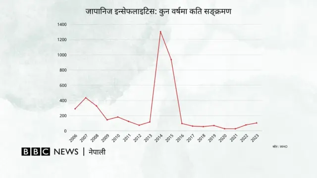 नेपालमा सङ्क्रमितको सङ्ख्या घटिरहेको समयमा मृतकको सङ्ख्यामा वृद्धि भएको हो 