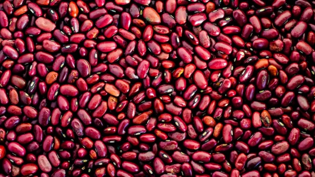 الفاصولياء مصدر غني بالحديد