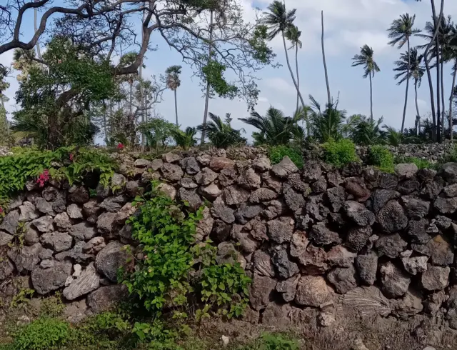  කොරල් පරවල කැබලි එක පිට එක තබා සකසා ඇති මෙම තාප්ප පුරා විවිධ තෘණ වැල් වැවී ඇති අතර ඒවායේ පිපී ඇති දම්පැහැ කුඩා මල් එම දර්ශනය වඩාත් සුන්දර කරයි.