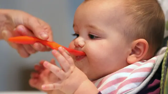 ዕሸላት ኣብ ቀዳማይ ዓመት ዕድመኦም ብዙሕ ዝተፈላለየ መግብታት ምምጋብ፡ ቁጥዐ ንምክልኻል ከምዝሕግዝ ይንገር