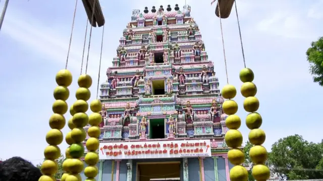 காவலாளி அஜித்குமார், திருப்புவனம், குற்றம், கொலை, சிவகங்கை