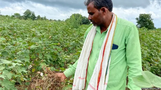 शेतात वाढलेलं तण दाखवताना गणेश गव्हाणे.