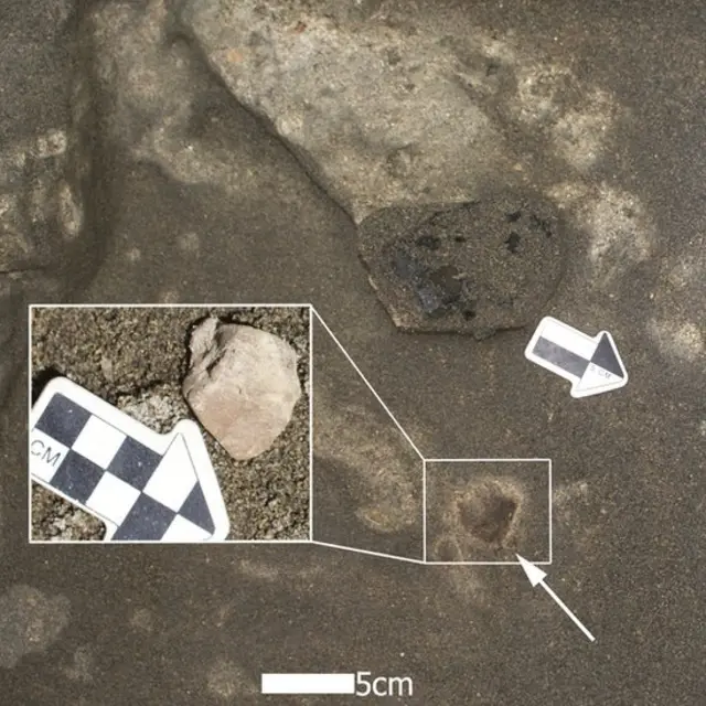 Pequeño fogón con una fecha cercana a los 16.000 años, y asociado con huesos quemados de caballo americano prehistórico y piedra exótica.