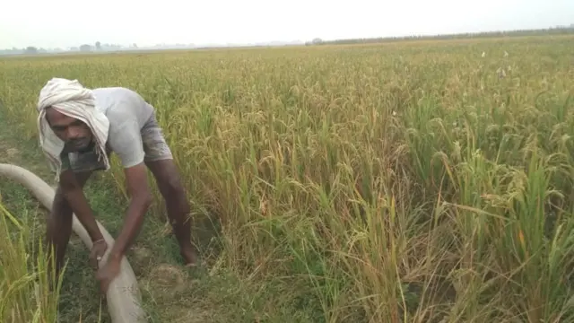 उदय पासवान, किसान