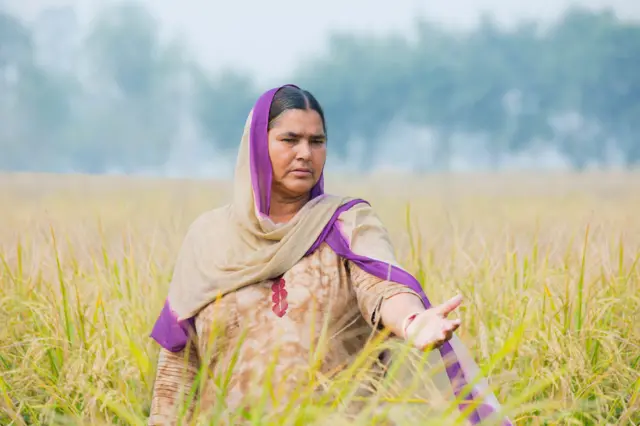 1970 ਅਤੇ 1980 ਦੇ ਦਹਾਕਿਆਂ ਦੌਰਾਨ ਪੰਜਾਬ ਦੀ ਆਰਥਿਕਤਾ ਨੇ ਪ੍ਰਭਾਵਸ਼ਾਲੀ ਆਰਥਿਕ ਵਿਕਾਸ ਦਾ ਤਜ਼ਰਬਾ ਕੀਤਾ 