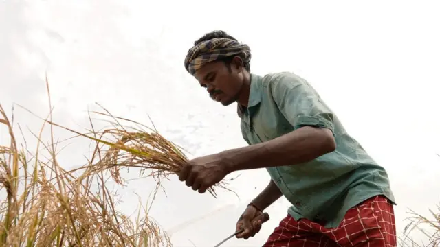 गुंधर नायक