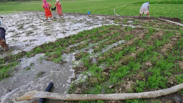 పొలానికి నీరు