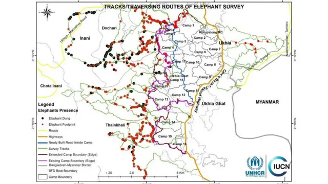 বন্য হাতি