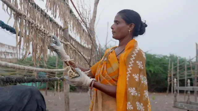 જળવાયુ પરિવર્તન 