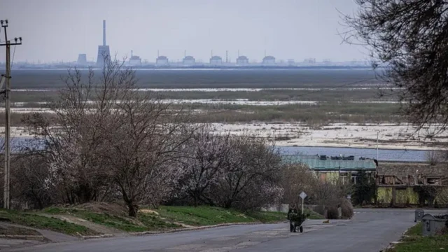 ЗАЕС - видно траву і опустошені поля замість води біля великої атомної станції