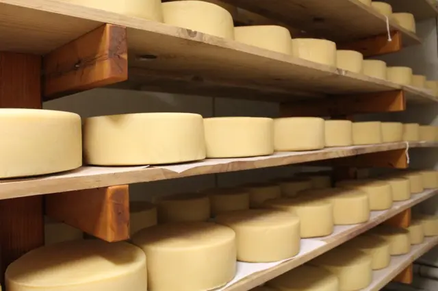 Queso artesanal fabricado en Estados Unidos.