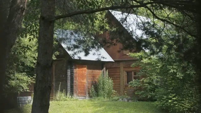 дача в сосновому бору