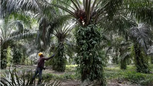 મલેશિયા