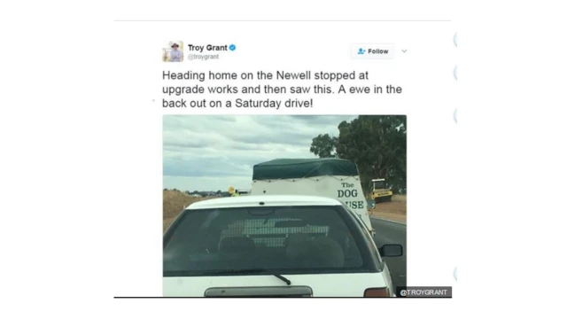 Chapisho la Twitter lililowekwa na waziri huyo baada ya kuona kondo huyo