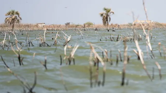 Mukkeen bishaan keessa lixan 