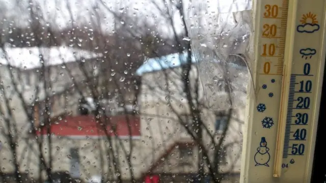 термометр