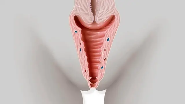 Vagina: "How to keep you vagina healthy after sex"