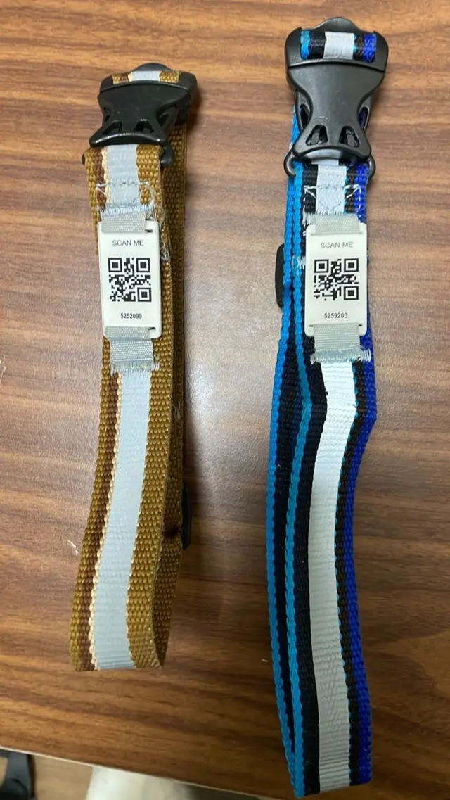 தெருநாய்கள் - மைக்ரோ சிப் டெண்டர் ரத்து