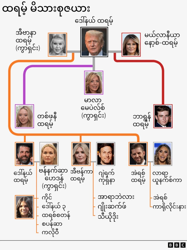 ထရမ့်မိသားစု၊ ထရမ့်မျိုးရိုးပြဇယား 