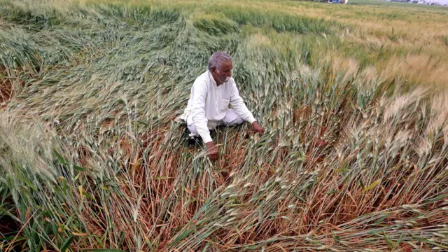 પ્રતીકાત્મક તસવીર