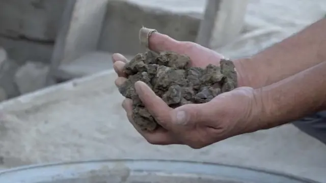 ਸ਼ਿਲਾਜੀਤ 