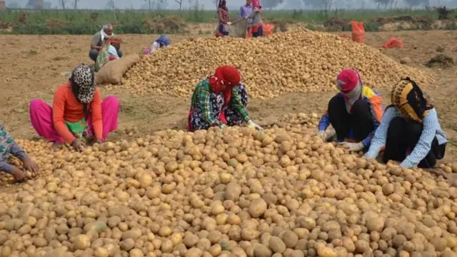 પ્રતીકાત્મક તસવીર