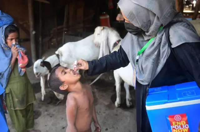 የፖሊዮ ክትባት ለታዳጊ ሕጻን ሲሰጥ