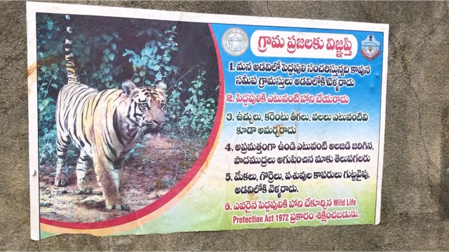 పులి పోస్టర్