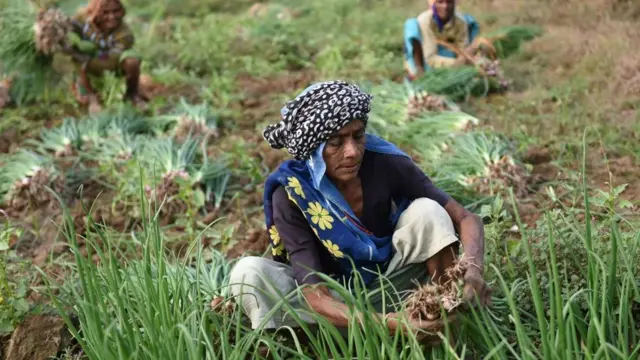 ભારતનો ખેડૂત
